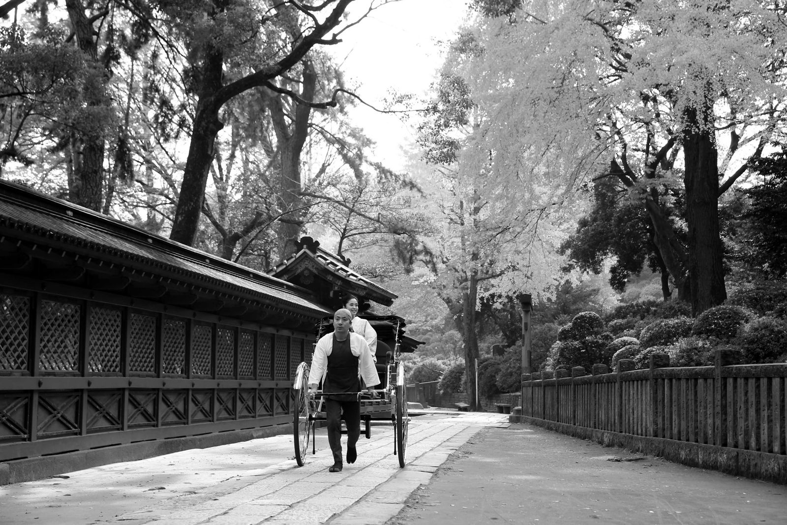 根津神社の透塀に沿って石畳を進む人力車